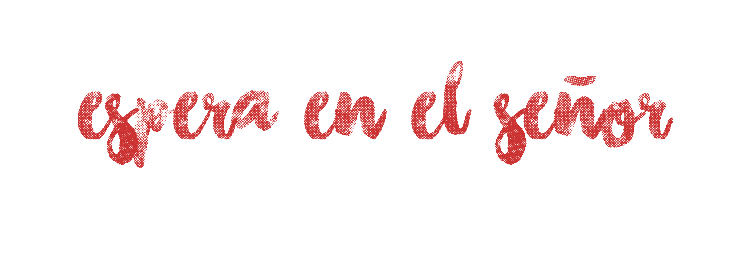 Espera en el Señor